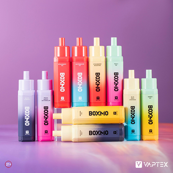 Vaptex Boxmo A Must Try Best Disposable Vape 2022 VAPTEX